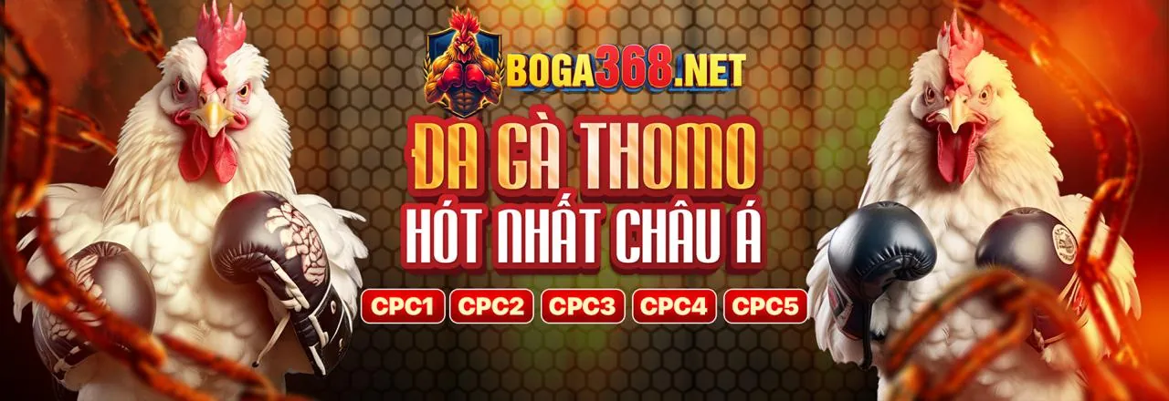 Hướng dẫn tải Android