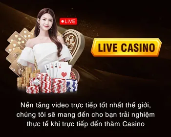 Cấp phép & Quản lý